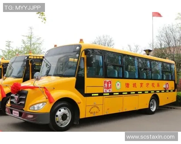 许钟豪的奋斗历程与成功秘诀揭秘：从平凡到卓越的成长之路